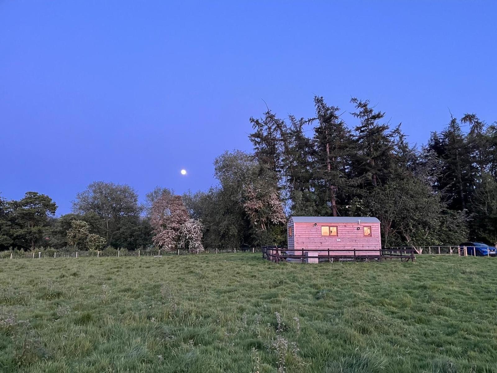蒙哥马利Bron Hafren住宿加早餐旅馆 外观 照片